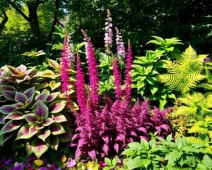 Beste planten voor een kleurrijke schaduwtuin