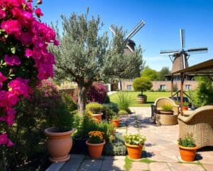 Een mediterrane tuin maken in Nederland