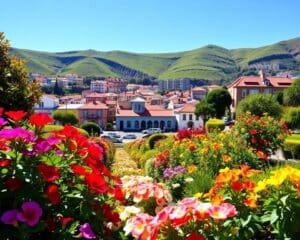 Funchal: zon, bloemen en cultuur op Madeira