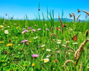 Groene alternatieven voor een gezond gazon