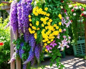 Kleurrijke klimplanten voor een sfeervolle tuin