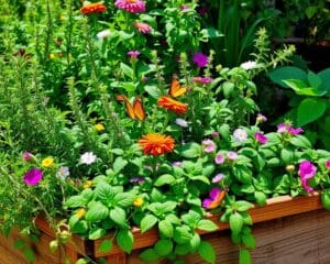 Kruiden kweken voor een geurige kruidentuin