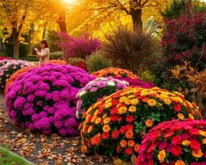 Onderhoud van bloeiende struiken in de herfst