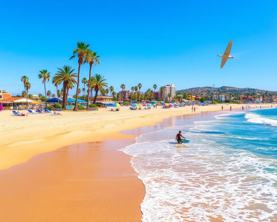 San Diego: zonnige stranden en een relaxte sfeer