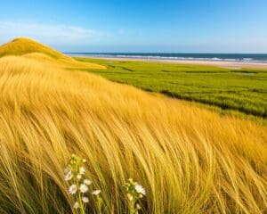 Schiermonnikoog: uniek decor voor een onvergetelijk uitje