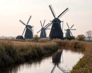 Kinderdijk – Molens en water tussen wilgen 🇳🇱