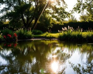 Wat is het effect van een vijver op je microklimaat?