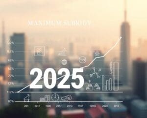 Wat is het maximale subsidiebedrag in 2025?