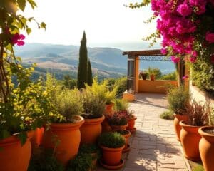 Hoe richt ik een mediterrane tuin in?