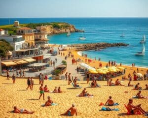 Wat is er te doen aan de Franse kust?