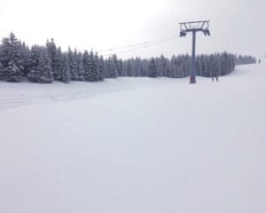 Wat zijn de beste skigebieden voor beginners?