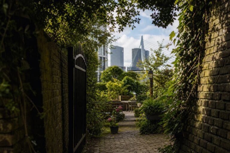 Welke verborgen plekjes zijn er in Rotterdam?
